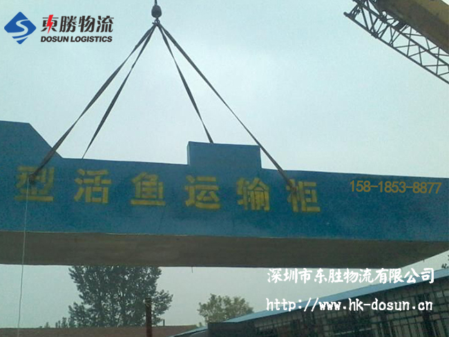 物流活體魚要注意哪些事項？該怎么運輸？深圳到香港物流,香港深圳貨運運輸,深圳香港進出口,深港物流專線,中港物流,東勝物流集團-大件物流到香港